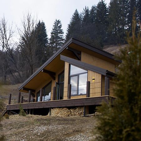 Petrick House Appartement Verkhovyna Buitenkant foto