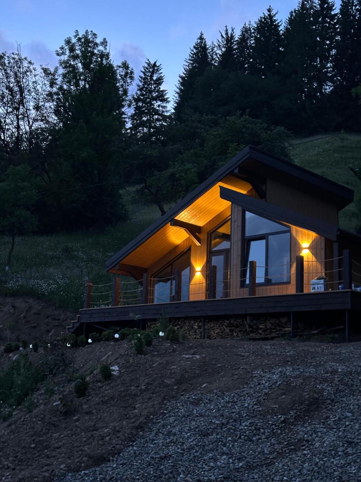 Petrick House Appartement Verkhovyna Buitenkant foto
